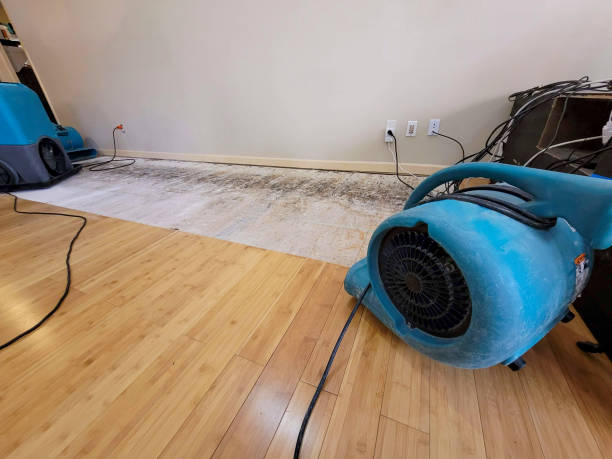 Professional Structural Drying technician working in Tenino, WA